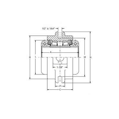 NSTU-C-203