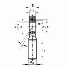 GAL40-DO-2RS