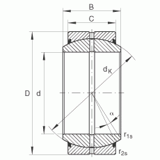 GE220-DO-2RS