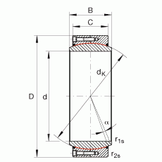 GE1000-DW-2RS2