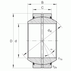 GE110-FO-2RS