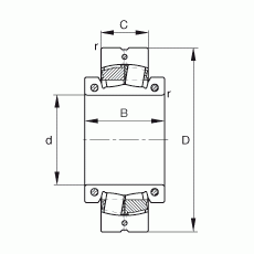 231SM100-MA