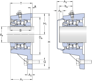 FYNT 60 F