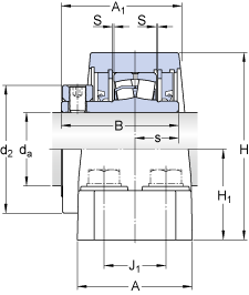 FSYE 2 1/2-3