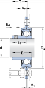 PFT 35 RM