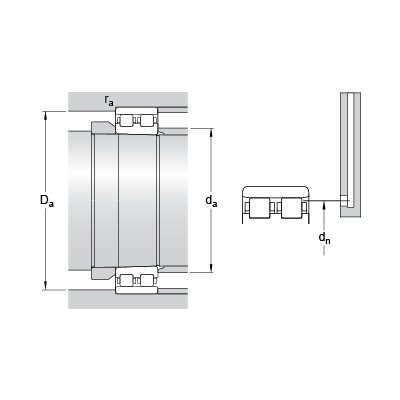 NN 3010 KTN/SP