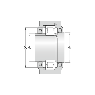 NU 207 ECM