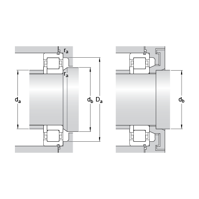 NUP 305 ECNP