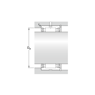 RNA 4900.2RS