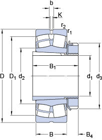 21313 EK + H 313